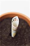 Fifty euro banknote planted in flower pot