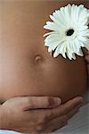 Woman holding flower beside pregnant belly, cropped