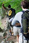 Hikers hiking in woods, rear view