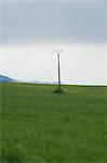 Power lines in rural landscape