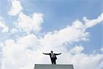 Businessman standing on concrete structure with arms outstretched, low angle view