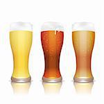 Light, dark and unfiltered beer in glasses with reflection, isolated on white, vector illustration, eps10