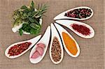 Spice and fresh herb selection in porcelain dishes and mortar with pestle over hessian background.