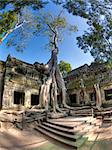 Jungle overtakes the ancient temple Ta Prohm near Siem Reap, Cambodia