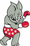 Cartoon illustration of an elephant boxer with boxing gloves and stars shorts as republican mascot.