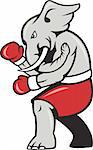 Cartoon illustration of an elephant boxer with boxing gloves and red shorts as republican mascot.