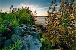 Landscape with many stones, lake, clouds and colorful plants