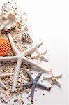 Seashells and starfish over white. Vacation concept .