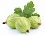 Closeup of green gooseberry with leaf isolated on white