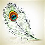 Vector illustration - peacock feather, EPS 10, RGB.  Use transparency and blend modes