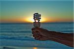 Hand Holding Lightbulb at Sunset, Cape Town, Western Cape, Cape Province, South Africa