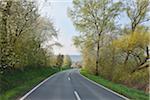 Country Road, Schaafheim, Darmstadt-Dieburg, Hesse, Allemagne