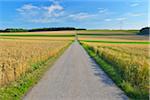 Landstraße und Felder, Arnstein, Main-Spessart, Franken, Bayern, Deutschland