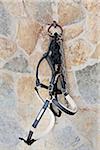 Horse Halter Hanging on Wall