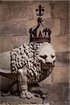 Lion Statue, Bargello Museum, Florence, Tuscany, Italy