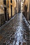 Wet Cobblestone Street, Florence, Tuscany, Italy