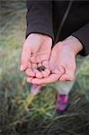 Small frog in child''s hand