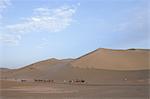 Kamelreiten auf Dünen bei Mingsha Shan, Silkroad, Dunhuang, Provinz Gansu, China