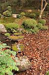 Autumn fall, Senzen-in temple, Ohara, Kyoto, Japan