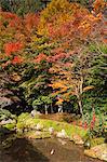 Jakkou-in temple in autumn, Ohara, Kyoto, Japan