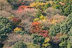 Arashiyama en automne, Kyoto, Japon