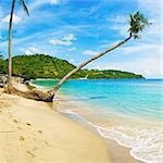 Überhängenden Palme, Nippah Beach, Lombok, Nusa Tenggara Barat, Indonesien, Südostasien, Asien