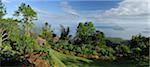 Garten mit Blick auf den Taal See, Tagaytay, Philippinen, Südostasien, Asien