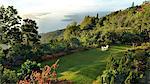 Garden with a view on Taal lake, Tagaytay, Philippines, Southeast Asia, Asia