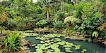 Garten, entworfen von berühmten Filipino Künstler und Garten Designer Jerry Araos in Antipolo, Philippinen, Südostasien, Asien