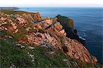 Lion Rock and Lizard Point, The Lizard, Cornwall, England, United Kingdom, Europe