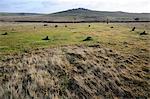 Bronze Age stone circle, Merrivale, Dartmoor, Devon, England, United Kingdom, Europe