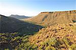 Early morning in the Karoo National Park, South Africa, Africa