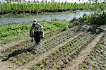 Landwirt Gießen seinen Gemüsegarten, Ye Saing Kone Dorf in der Nähe von Labutta, Irrawaddy Delta, Myanmar (Birma), Asien
