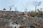 A burnt hill side after deforestation beside road from Pathein to Mawdin Sun, Irrawaddy Delta, Myanmar (Burma), Asia