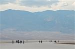 Bassin de Badwater, Death Valley, Californie, États-Unis d'Amérique, l'Amérique du Nord