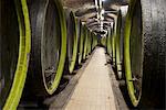 Tonneaux en bois de vin, cave à vin Rosa Coeli, Dolni Kounice, Brnensko, République tchèque, Europe