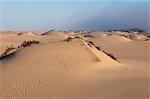 Dunes de sable, Skeleton Coast National Park, Namibie, Afrique