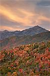 Nuages oranges au coucher du soleil au fil oranges et rouges des érables à l'automne, Uinta National Forest, Utah, États-Unis d'Amérique, l'Amérique du Nord