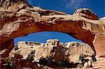 Pont Hickman, Capitol Reef National Park, Utah, États-Unis d'Amérique, l'Amérique du Nord