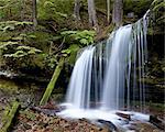 Fern Falls, Coeur d'Alene National Forest, Idaho Panhandle National Forests, Idaho, United States of America, North America