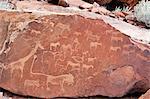 Pétroglyphes ou gravures rupestres, Twyfelfontein, patrimoine mondial de l'UNESCO, Damaraland, région de Kunene, Namibie, Afrique