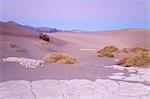 Séché de boue dans le Mesquite Flat Sand Dunes, Death Valley National Park, California, États-Unis d'Amérique, Amérique du Nord