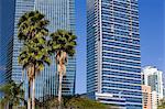 HSBC Tower on the right and Chase Tower on Brickell Avenue, Miami, Florida, United States of America, North America