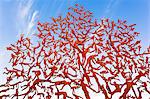 Yad Vashem Holocaust Memorial, Partisans Panorama memorial tree, Mount Herzl, Jerusalem, Israel, Middle East