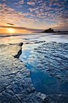 Château de Bamburgh et paysage côtier au lever du soleil, Bamburgh, Northumberland, Angleterre, Royaume-Uni, Europe