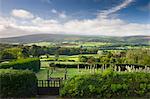 Selworthy Church graveyard, overlooking beautiful countryside, Exmoor National Park, Somerset, England, United Kingdom, Europe