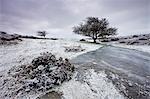 Neige et glace sur Porlock commun en hiver, le Parc National d'Exmoor, Somerset, Angleterre, Royaume-Uni, Europe