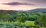 Rolling countryside at twilight, Brecon Beacons National Park, Powys, Wales, United Kingdom, Europe