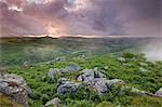 Granite rocks and bracken at Holwell Tor, looking towards Hound Tor on a stormy and misty Summer evening, Dartmoor National Park, Devon, England, United Kingdom, Europe