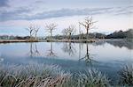 Frosty winter scene beside a still lake, Morchard Road, Devon, England, United Kingdom, Europe